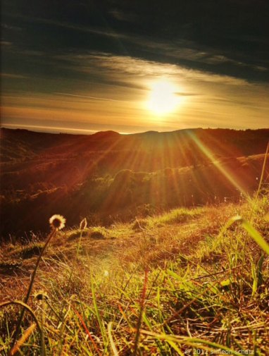 sun_trail_sun_simeon_schatz