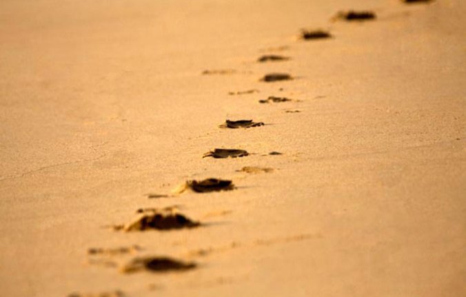 footsteps_sand