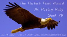 baldeagle+perfect+poets+at+hyde+park+poetry+palace+rally+week+79